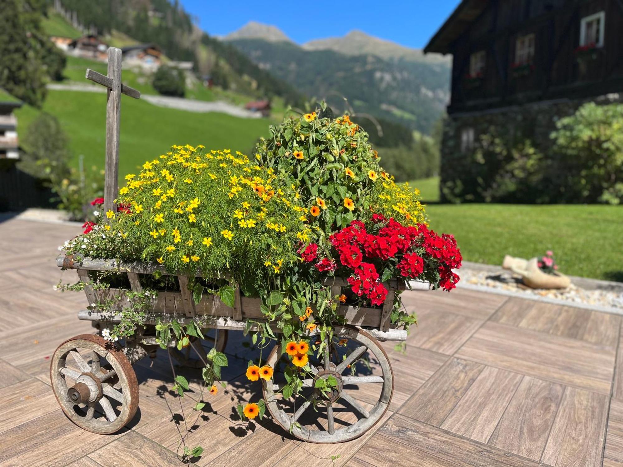 Hotel Garni Gruenmoos Sankt Jakob in Defereggen Buitenkant foto